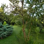 Bed & Breakfast Casa Filaferro 3*