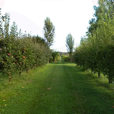 菲拉费罗住宿加早餐旅馆 3* 帕拉佐罗德罗斯泰尔