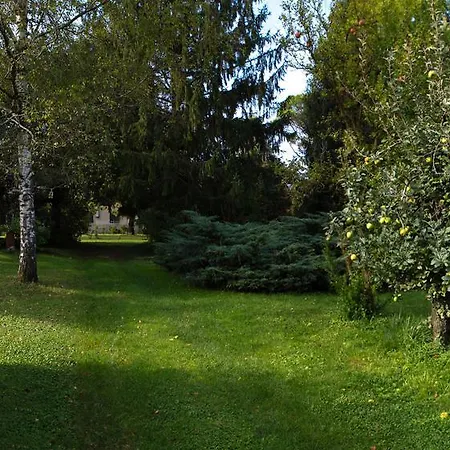 菲拉费罗住宿加早餐旅馆 帕拉佐罗德罗斯泰尔