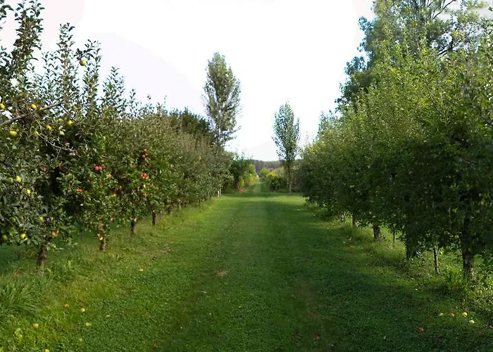 Casa Filaferro 3* Palazzolo dello Stella