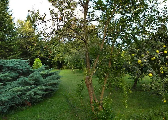 Panzió Casa Filaferro 3*